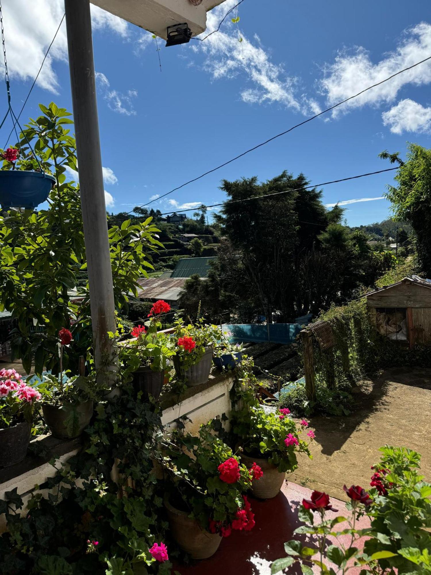 Cozy Heaven Lägenhet Nuwara Eliya Exteriör bild